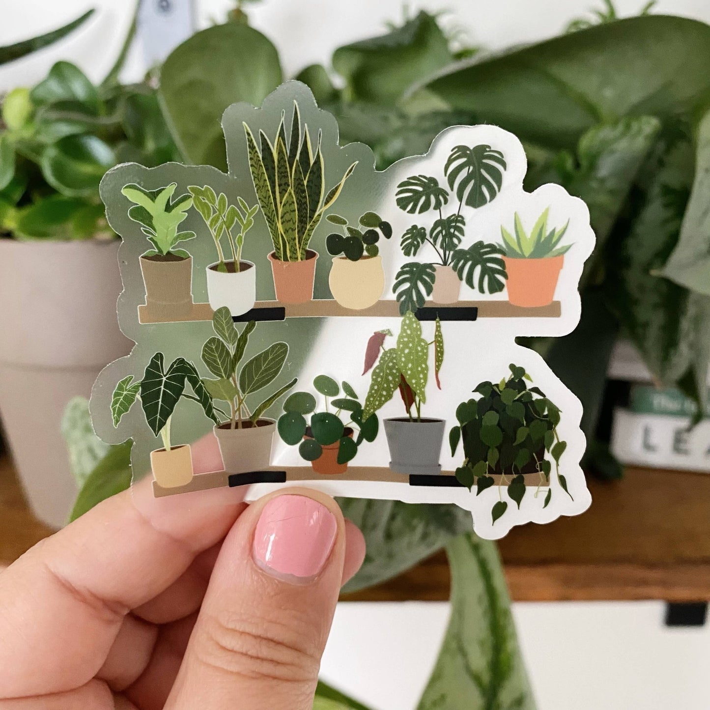 House Plant Shelf Collection CLEAR Sticker - 1 pc - T & R Underground Books