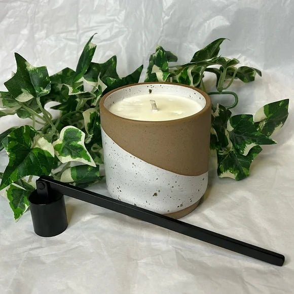 Mini S'more 8 oz Soy Candle Sea Salt Scent: Special Edition - T & R Underground Books
