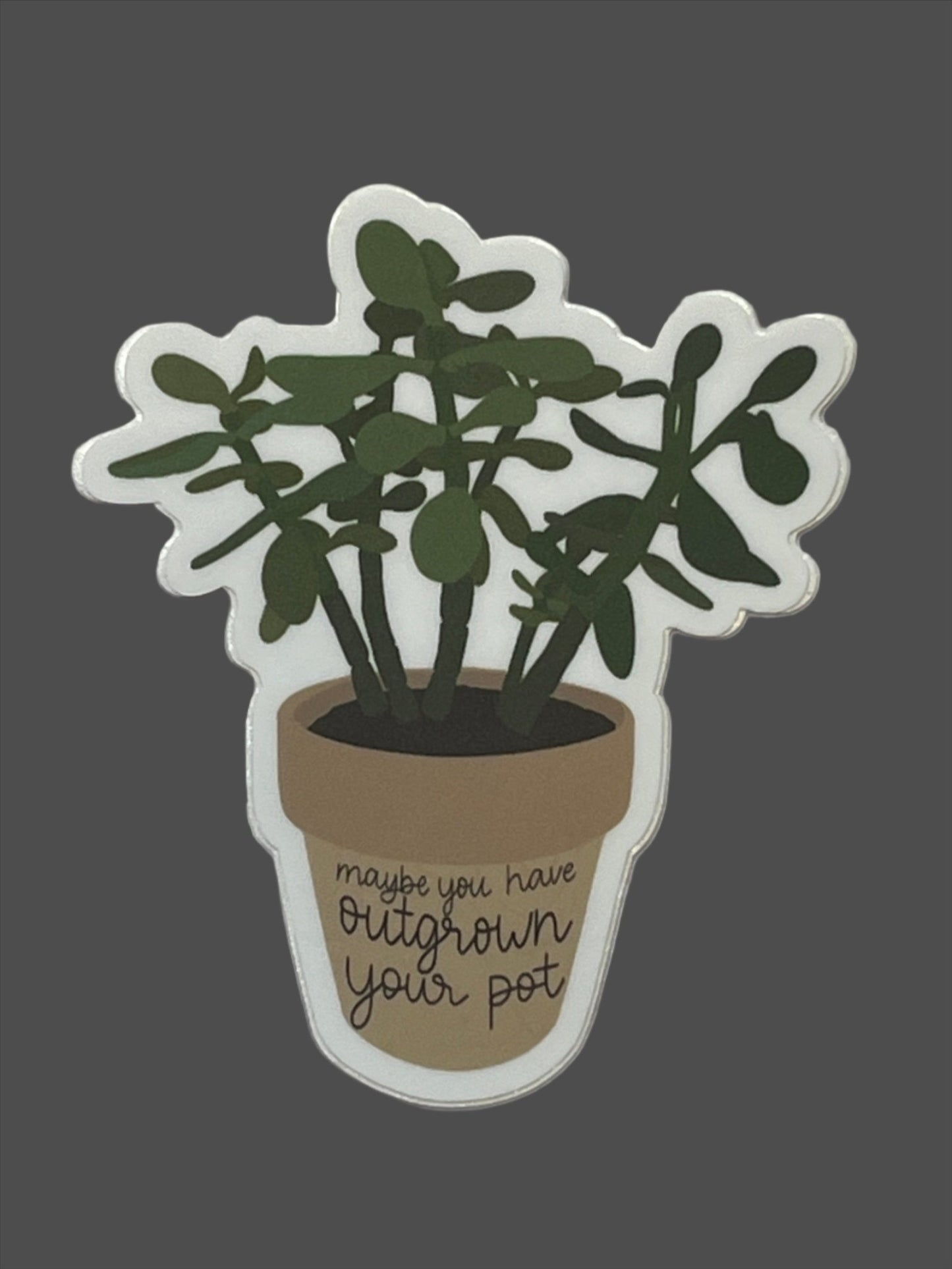 You've Outgrown Your Pot Plant Decorative Sticker - 1 pc - T & R Underground Books
