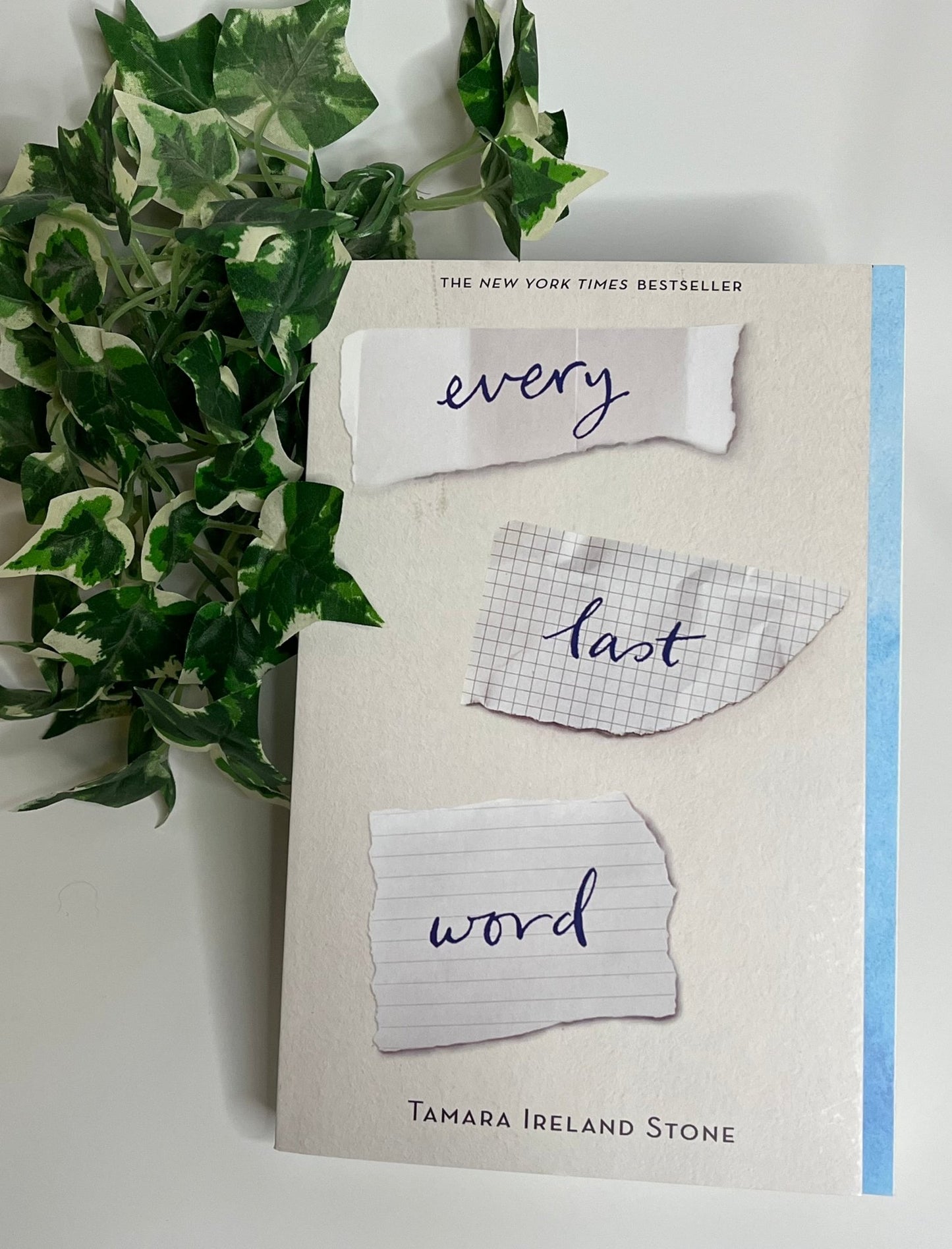 Every Last Word - Paperback, 2017 (Stone, Tamara Ireland) - T & R Underground Books
