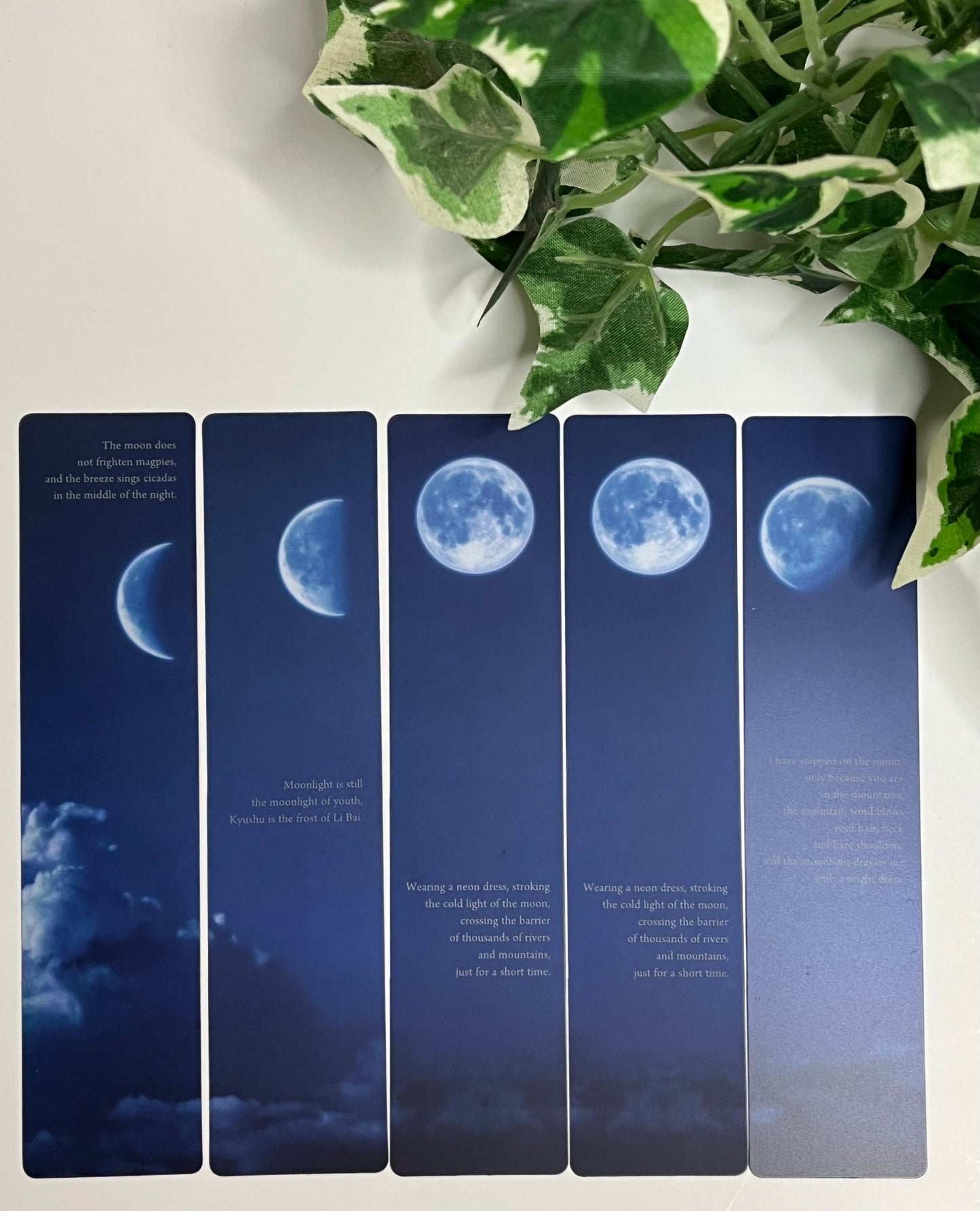Lightweight Cosmic Roaming Moon PVC Bookmarks - 5 pieces - T & R Underground Books