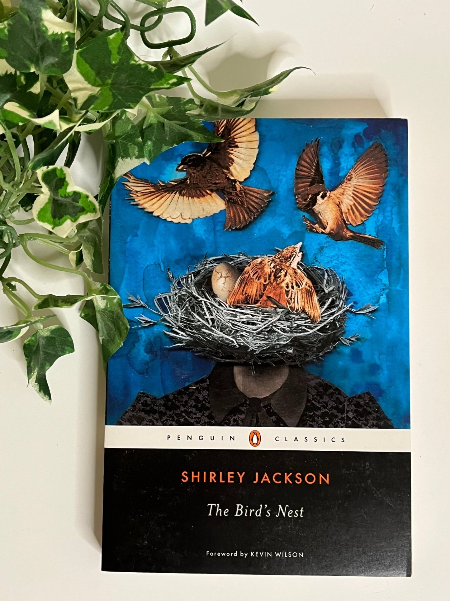 The Bird's Nest - Paperback, 2014 (Jackson, Shirley) - T & R Underground Books