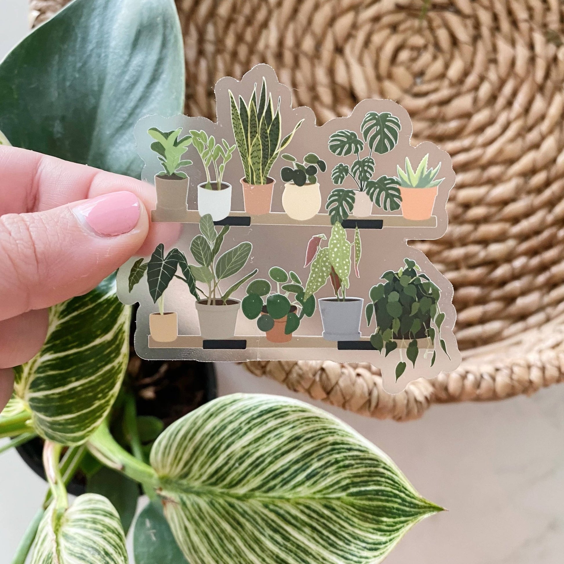 House Plant Shelf Collection CLEAR Sticker - 1 pc - T & R Underground Books