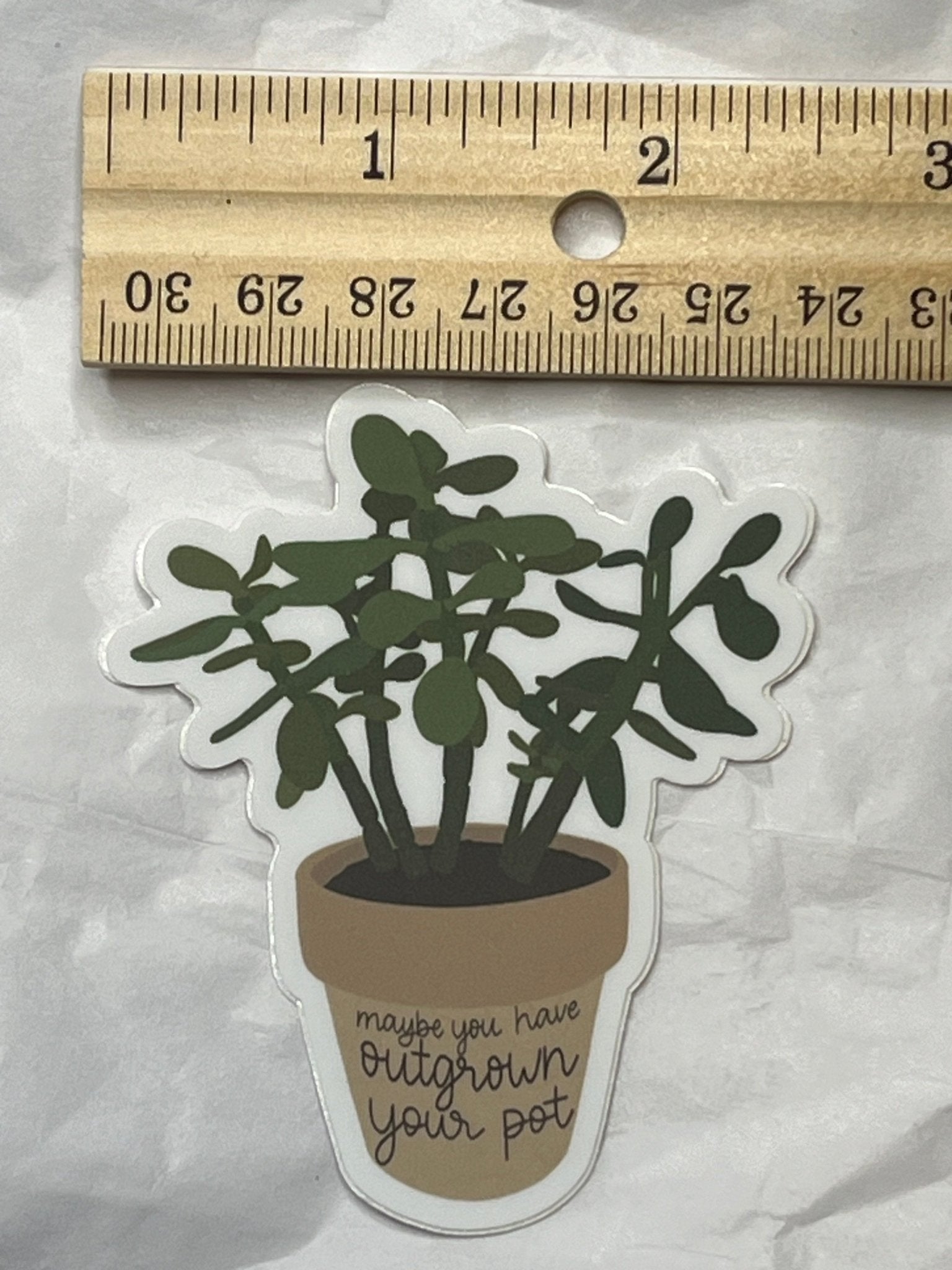 You've Outgrown Your Pot Plant Decorative Sticker - 1 pc - T & R Underground Books